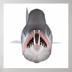 Poster Poisson Vampire - Tête de poisson