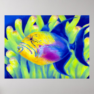 Poster Poisson-verge