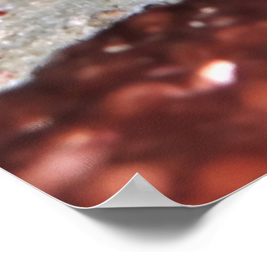 Poster Poisson-verge à dents rouges (Coin)