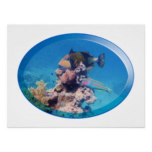 Poster Poisson-verge à la barrière de corail - Design pho