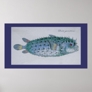 Poster Poisson vintage