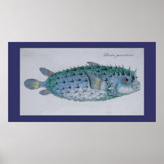 Poster Poisson vintage