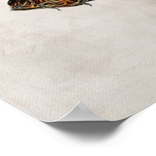 Poster Poisson vintage (Coin)