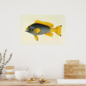 Poster Poisson vintage bleu et jaune, Vie marine (Cuisine)