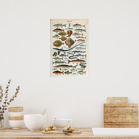 Poster Poisson vintage du monde (Cuisine)