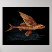 Poster Poisson volant (Devant)