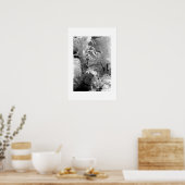 Poster Poissons au Jardin d'Eden (Cuisine)