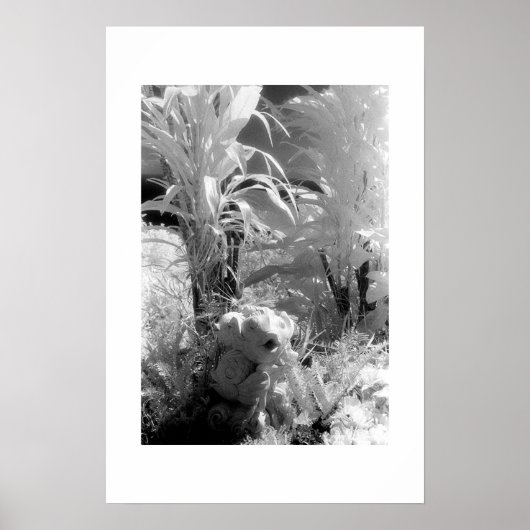 Poster Poissons au Jardin d'Eden (Devant)
