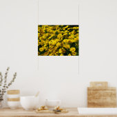 Poster Poissons / Chrysanthème Coronarium (Cuisine)