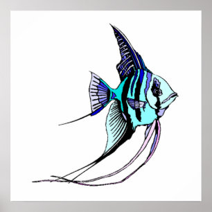 Poster Poissons d'ange