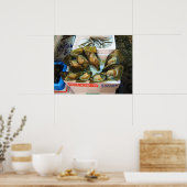 Poster Poissons de moules géantes Tsukiji, Tokyo, Japon (Cuisine)