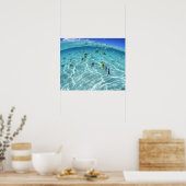 Poster Poissons en mer 3 (Cuisine)