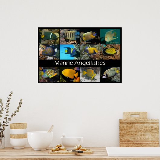 Poster Poissons marins (Cuisine)
