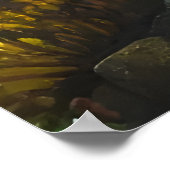 Poster Poissons nageant dans la mer | Art AI (Coin)