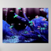 Poster Poissons tropicaux (Devant)