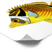 Poster Poissons tropicaux noirs jaunes Imprimer no 4 (Coin)
