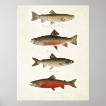 Poissons vintages - Trouts