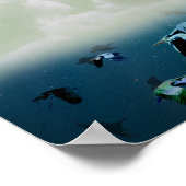 Poster Poissons volants et oiseaux nicheurs (Coin)