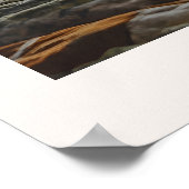 Poster Poissons | Zodiac Astrologie Photo Journal (Coin)