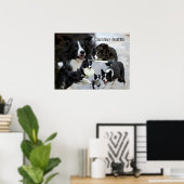 Poster poitrine de collie (Bureau à domicile)