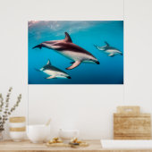 Poster Poitrine des dauphins de Dusky au large de Kaikour (Cuisine)