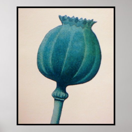 POSTER POIVRE D'OPIUM (Devant)