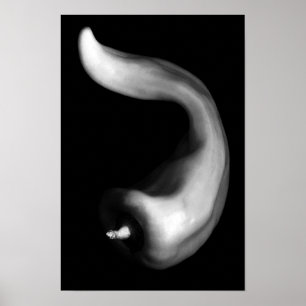 Poster Poivre rond Gros plan noir et blanc Photographie