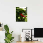 Poster Poivre rouge dans la pluie (Bureau à domicile)