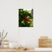 Poster Poivre rouge dans la pluie (Cuisine)