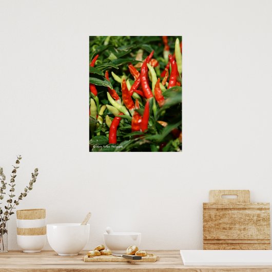 Poster Poivrons (Cuisine)