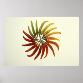 Poster Poivrons chauds (Devant)