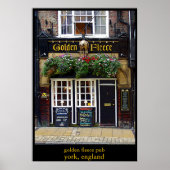 Poster polaire dorée (Devant)