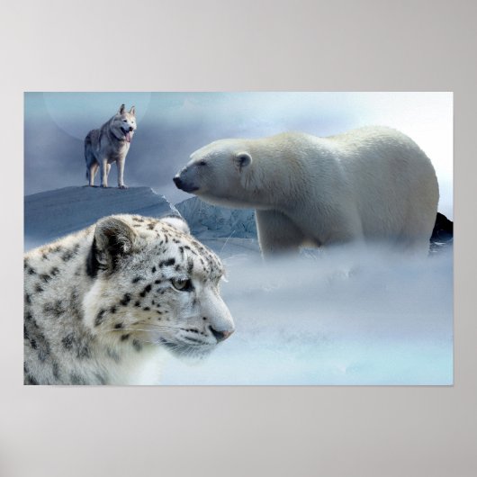 Poster-Polar Beer-Husky-Snow Leopard Poster (Voorkant)