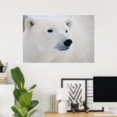 Poster Polar Churchill (Bureau à domicile)