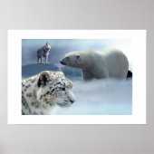Poster Polar Ours-Husky-Snow Leopard (Devant)