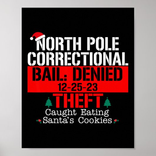 Poster Pôle Nord Caution Correctionnelle Refusée Vol Atte (Devant)