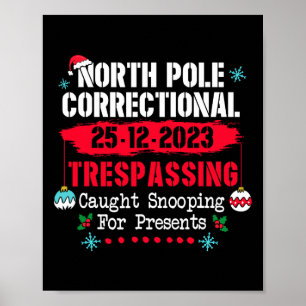 Poster Pôle Nord - Détournement correctionnel pris Snoopi