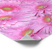 Poster Pôle Rose De Gerbera Flower, (Coin)