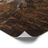 Poster Polenov - Carrière (Coin)