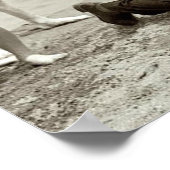 Poster Police de mode 1922 (Coin)