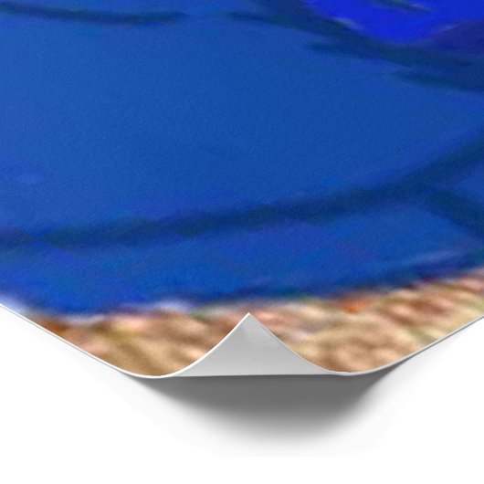 Poster Police de Ruff (Coin)