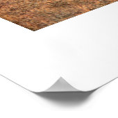 Poster Policier royal canadien (Coin)