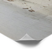 Poster Politique américaine (Coin)