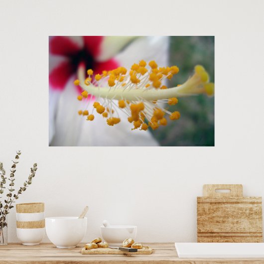 Poster Pollen (Cuisine)