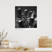 Poster Pollinisation contrôlée, Pear Orchard, UCD, 1966 (Cuisine)