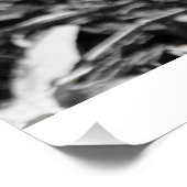 Poster Pollinisation tôt de ressort (Coin)