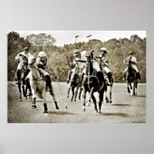 Poster Polo Horses Galloping (Devant)