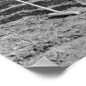 Poster Polo Ladies : 1925 (Coin)