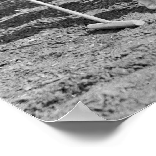 Poster Polo Ladies : 1925 (Coin)