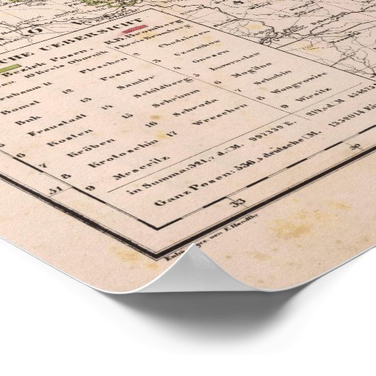 Poster Pologne 3 (Coin)